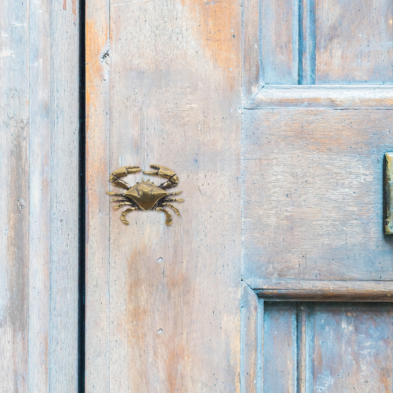 Brass Crab Door Handles Single - Woodworking Inspiration 리뷰 및 가격
