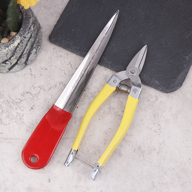 1set Professional Wicker Repai - Woodworking Basic Tools 리뷰 및 가격